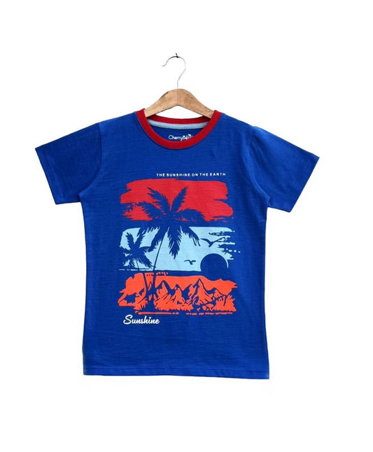 Boys T-shirt Shorts Set