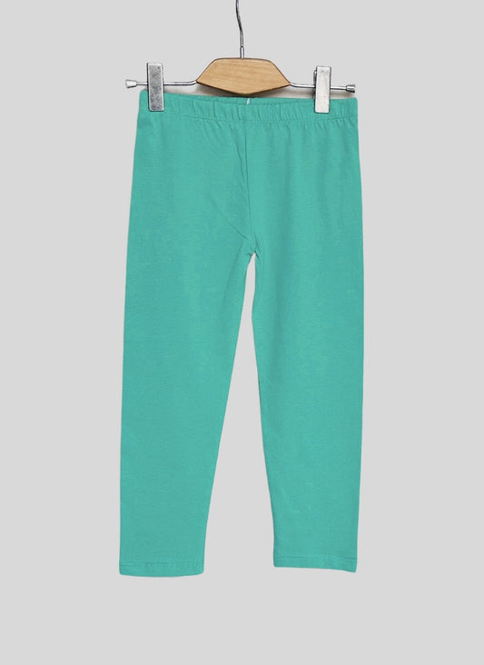 Turquoise colour leggy