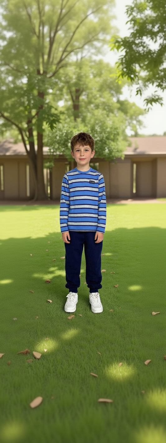 Striped long sleeves t-shirt