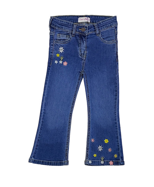 Cute embroidered blue Jean